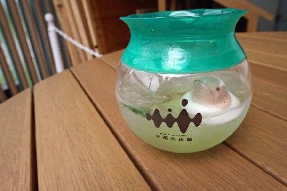 オオサンショウウオ入り オオサンショウウオ鴨川ソーダ さくらの香り3 オオサンショウウオ入り オオサンショウウオ鴨川ソーダ さくらの香り3