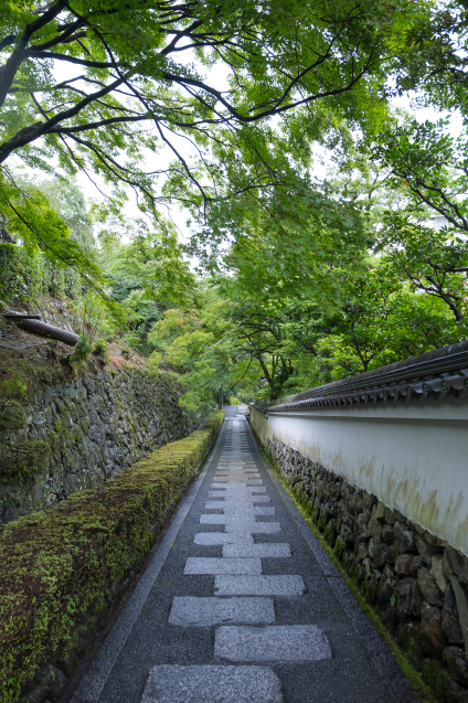 7月のキラク写真講座:善峯寺編_e0369736_17084283.jpg