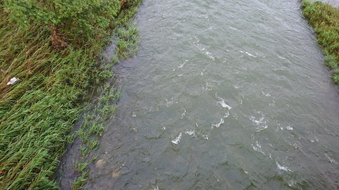 c0266737_07054535.jpg