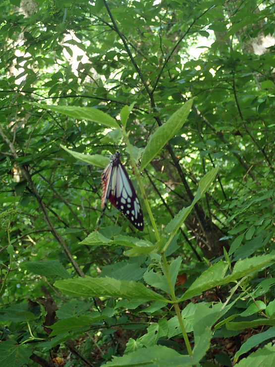 f0214649_03510304.jpg