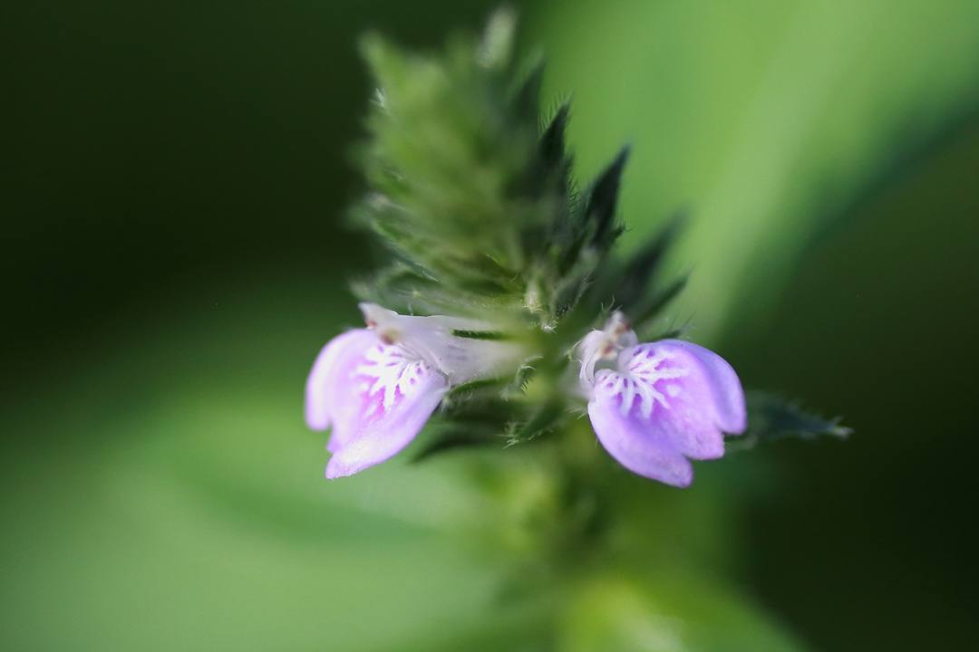 e0403850_02021618.jpg