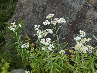 e0004756_21151447.jpg