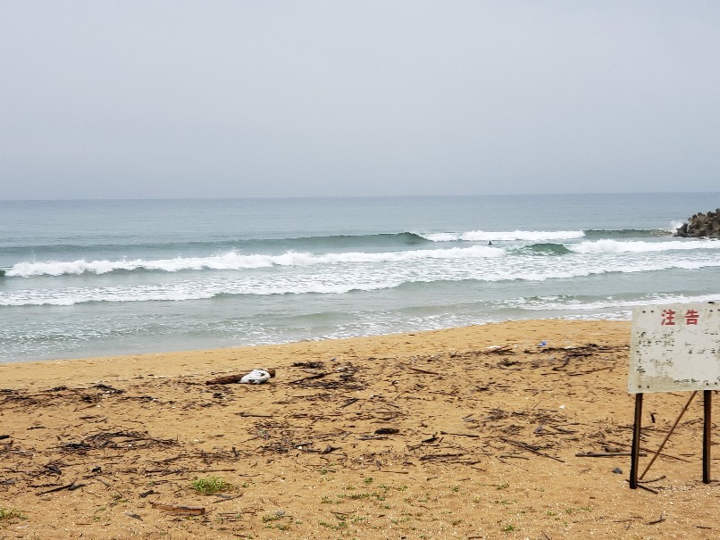 d0149957_11591109.jpg