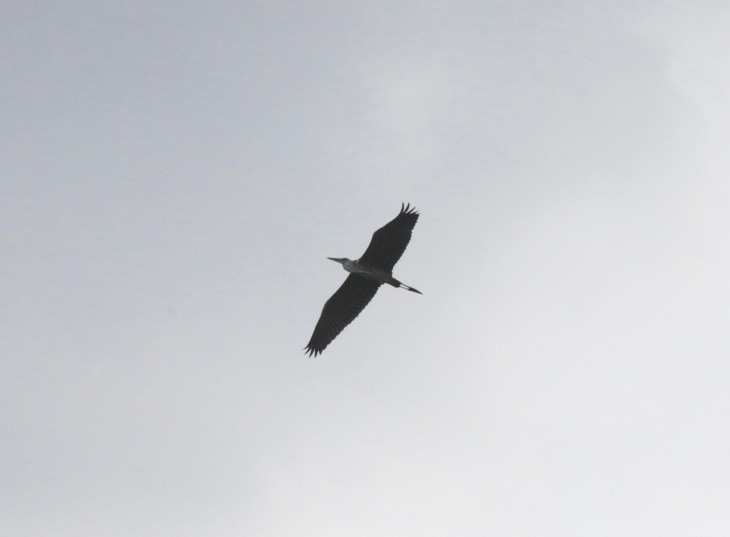 a0248459_15254358.jpg