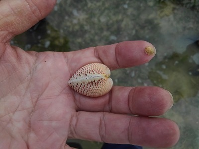 c0180460_02481811.jpg