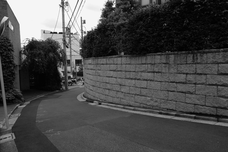 東京の坂道 #38-4 勢揃坂、観音坂、鳩森八幡神社_f0079061_17560634.jpg