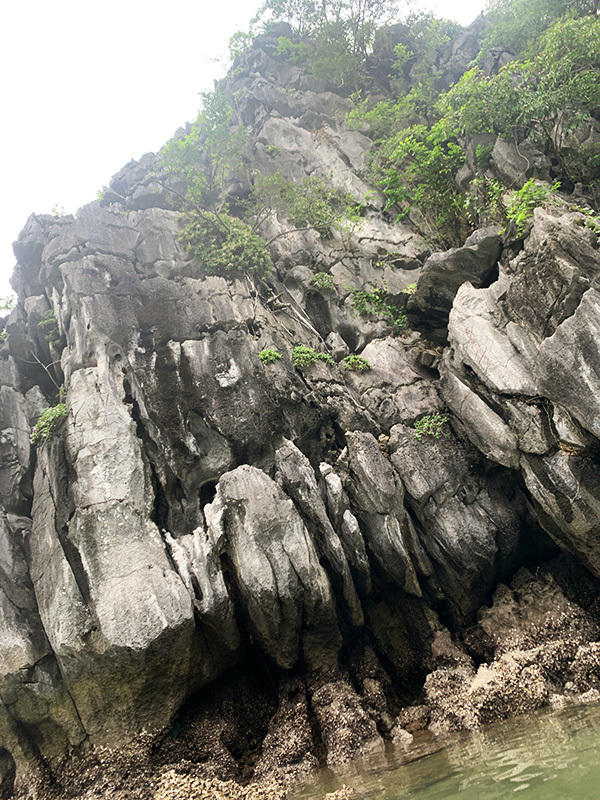 c0048265_20364852.jpg