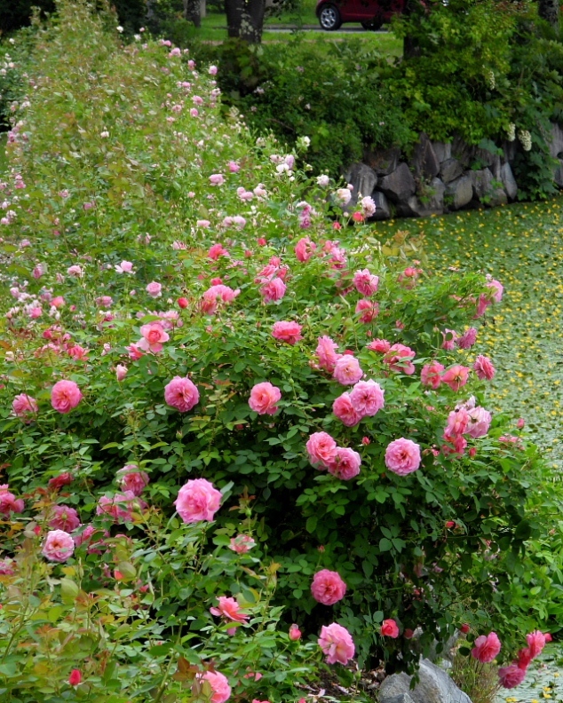 c0305565_17284103.jpg