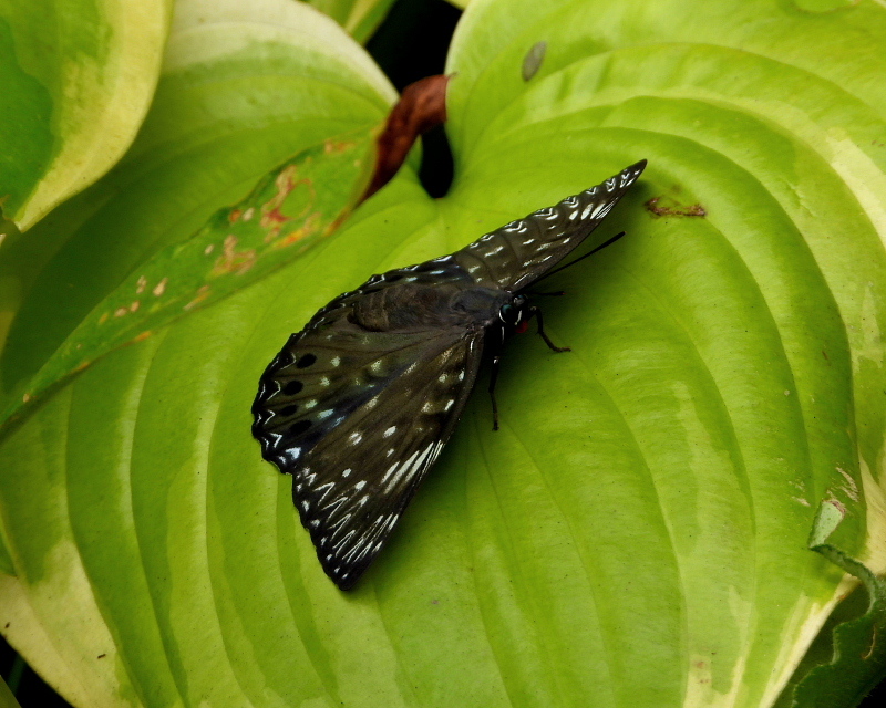 c0305565_17291400.jpg