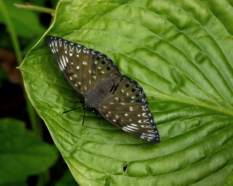 c0305565_17292755.jpg