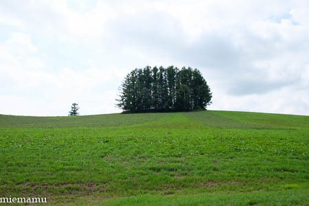 d0340565_20004279.jpg