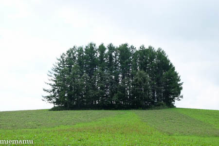 d0340565_20005000.jpg