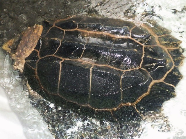 c0105569_01411941.jpg