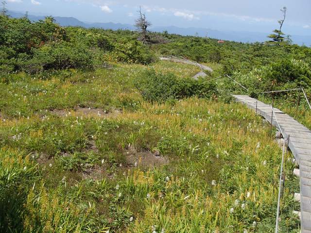 a0344771_18433285.jpg