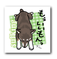 b0057675_23323840.png