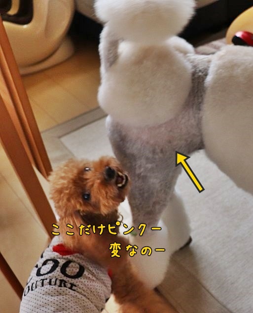 理想の♡を追い求めて・・・。_b0111376_16495497.jpg