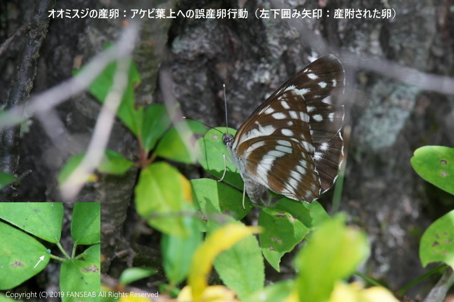f0090680_15175741.jpg