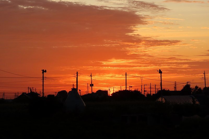 d0381582_07525916.jpg