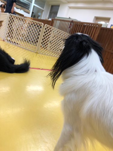 初めましてと元気っ子_f0357682_13435807.jpg