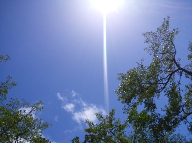 e0371086_22532092.jpg