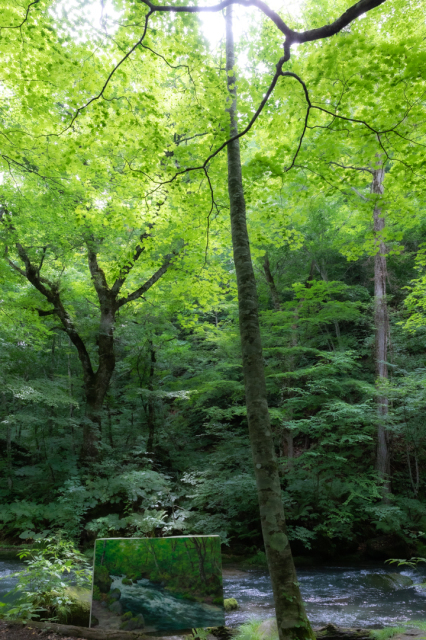 樹々の息吹と自然界の残酷_a0158797_19354771.jpg