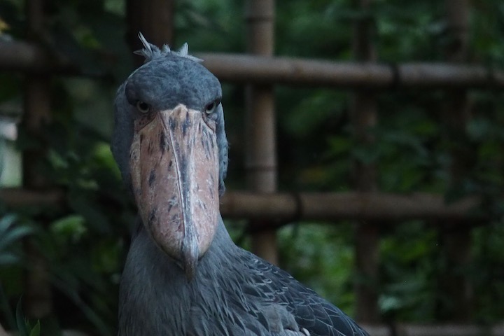 ガラス破損事件_b0016600_9105327.jpg