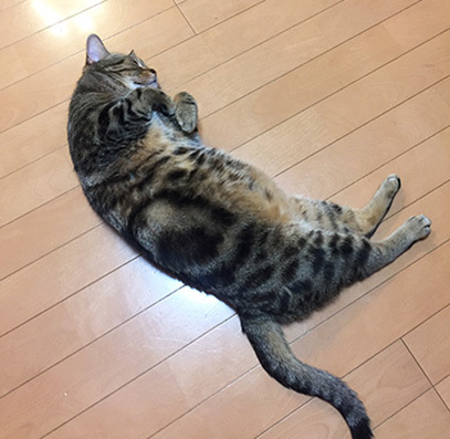 ***どこへ行こうか どこで暮そうか 3_e0148304_13490028.jpg