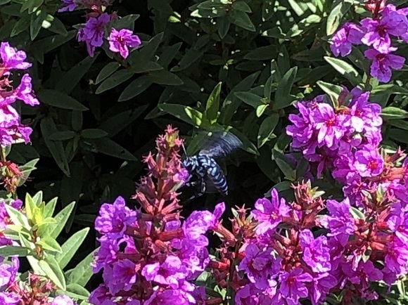 f0364707_21052923.jpg