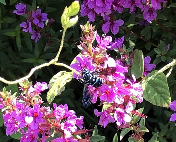 f0364707_21074927.jpg