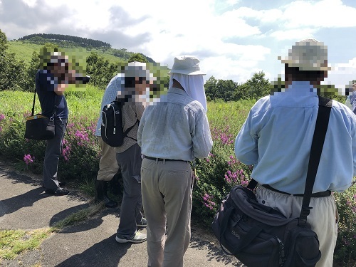 ヒゴタイ公園（阿蘇郡産山村）_f0364707_21204263.jpg