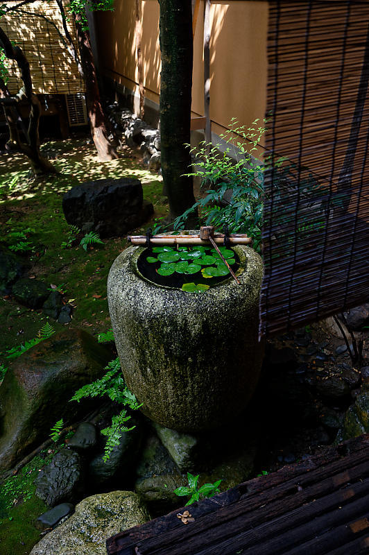 京の夏の旅@無名舎(吉田家住宅) 其の一_f0032011_18335517.jpg