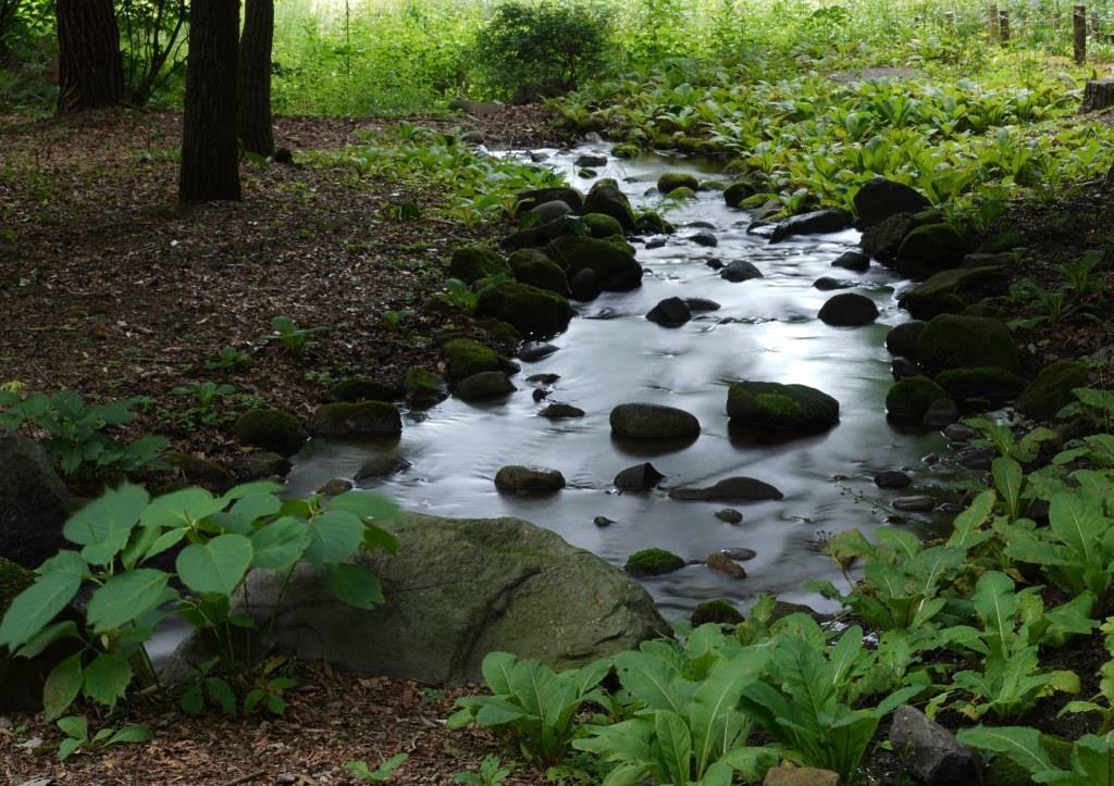 2019/8/11 赤城自然園_a0340812_17461891.jpg