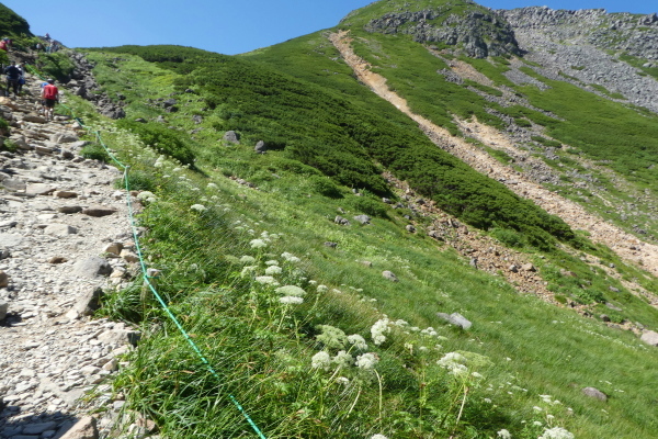 d0170615_21402252.jpg