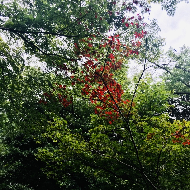 d0339617_04383648.jpeg