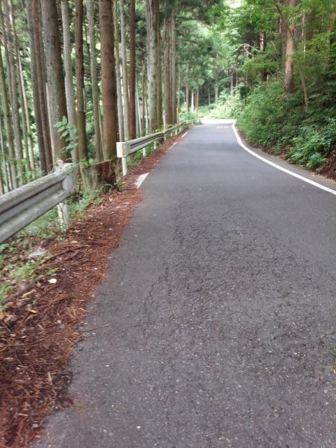 f0232417_23371771.jpg