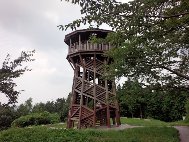 f0232417_23385450.jpg