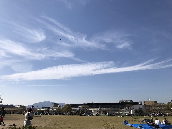 c0054118_11164816.jpg