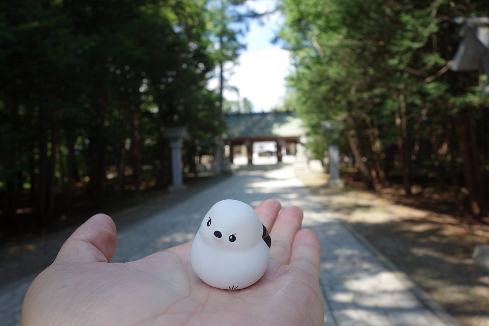 帯広神社　シマエナガみくじ_d0382932_18491173.jpg