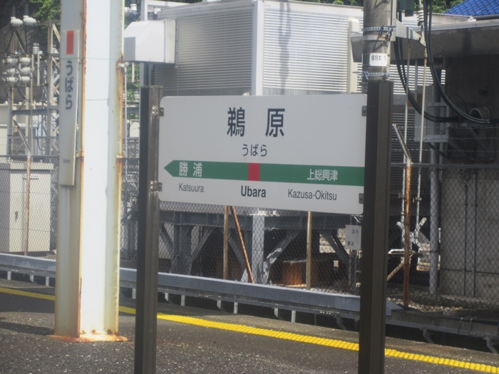 【青春18きっぷ】安房鴨川から外房線で千葉ー帰宅【房総半島一周】_b0009849_9433839.jpg