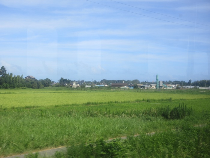 【青春18きっぷ】安房鴨川から外房線で千葉ー帰宅【房総半島一周】_b0009849_9563178.jpg