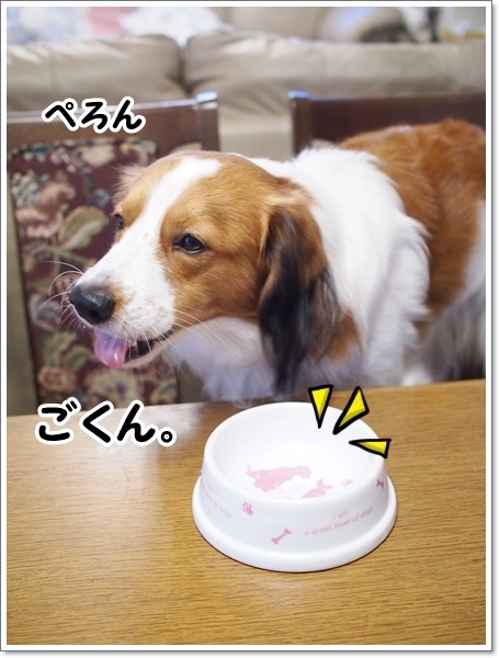 プチお誕生会♪_d0013149_10070275.jpg