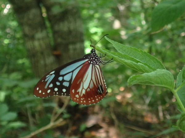 f0214649_03083625.jpg