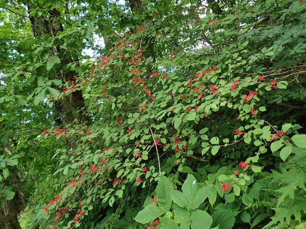 f0214649_03143613.jpg
