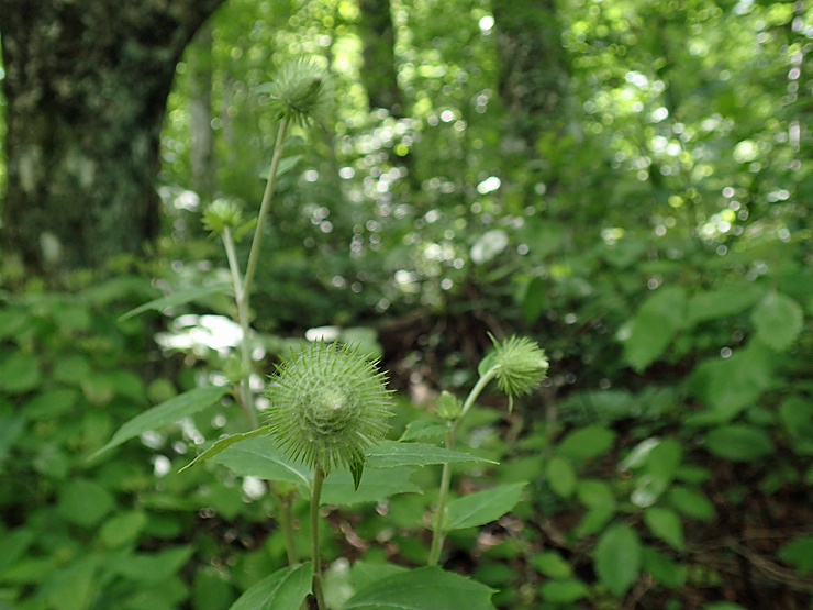 f0214649_03283750.jpg