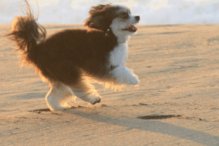 c0145250_09060696.gif