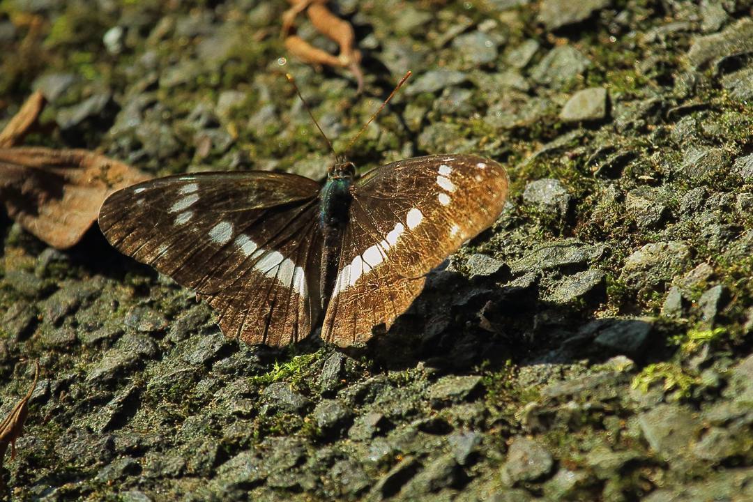 e0403850_13072255.jpg