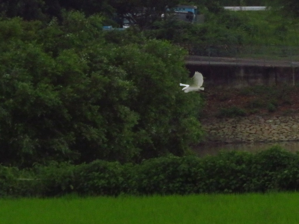 a0018655_08584175.jpg