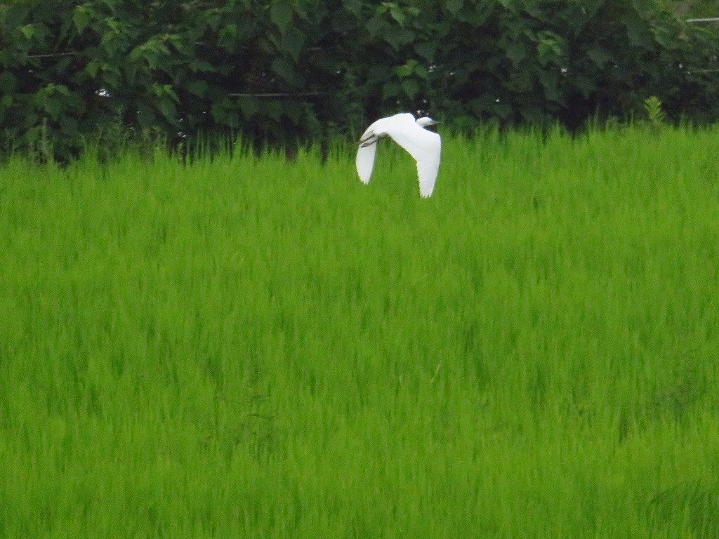 a0018655_09052805.jpg