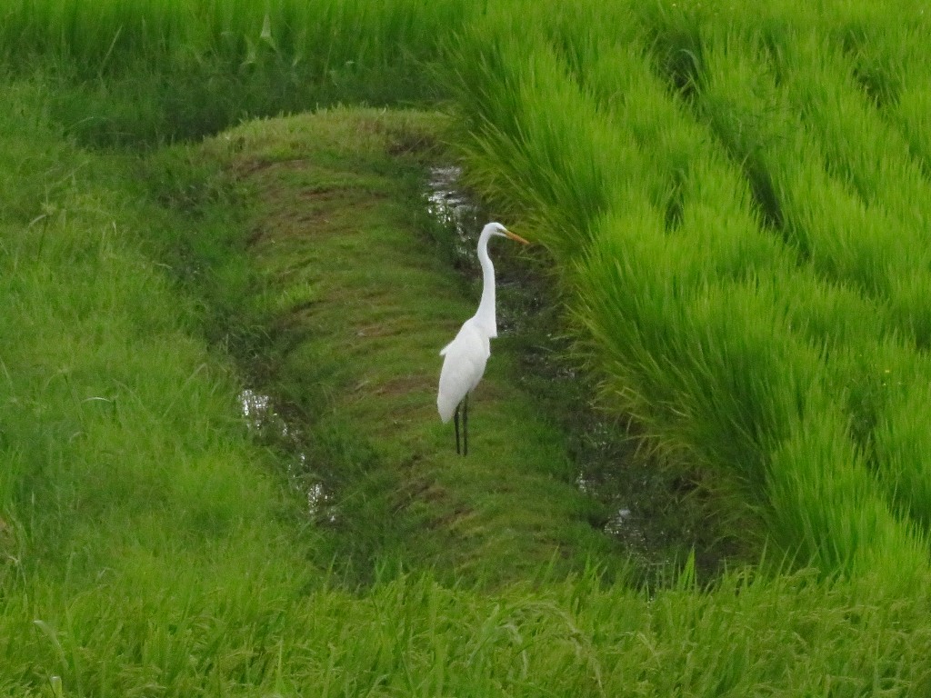 a0018655_09052904.jpg
