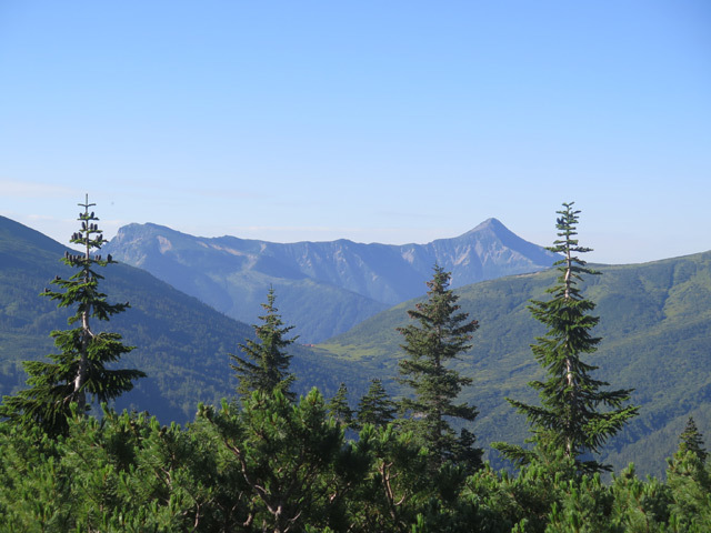 c0116856_20404697.jpg